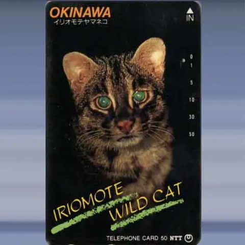 katten 4517