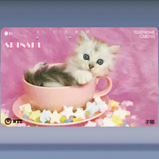 katten 4527
