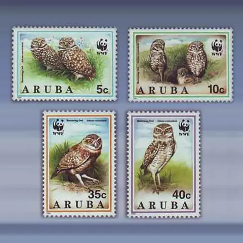 Arubaanse Uil (1994)