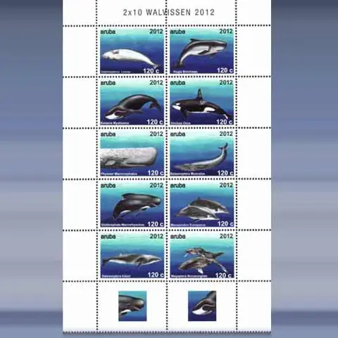 Zeezoogdieren (2012)