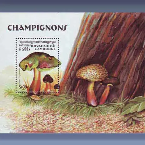 Paddestoelen (1997)