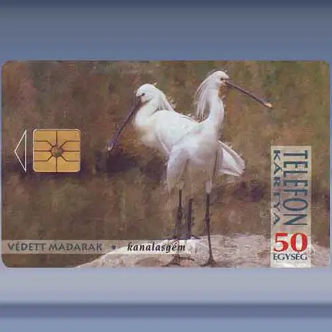 Reigers (1994)