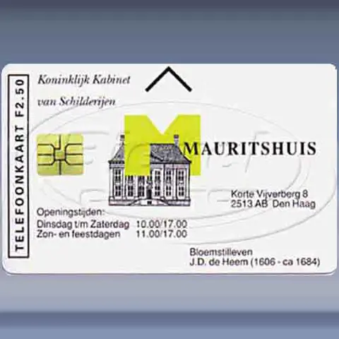 Mauritshuis