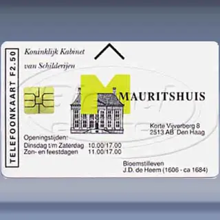 Mauritshuis