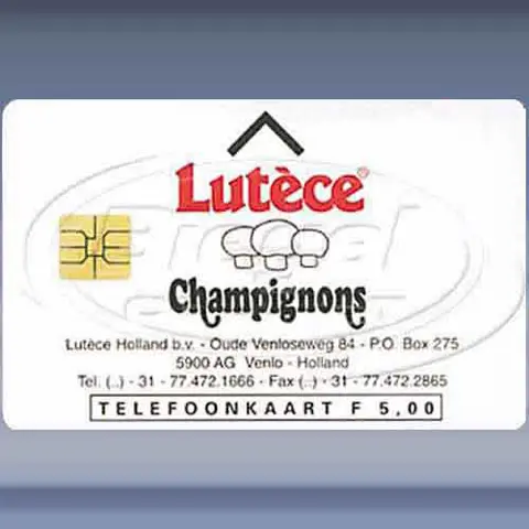 Lut&egrave;ce Champignons