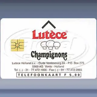 Lut&egrave;ce Champignons