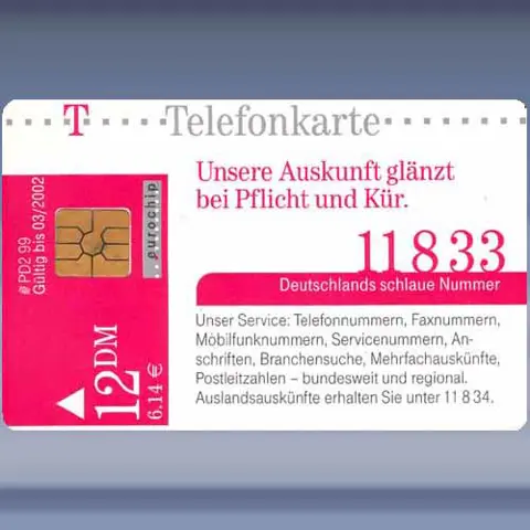 11833 Auskunft (Winter) (1999)