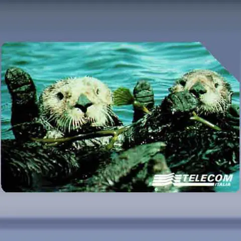 Otters (1998)