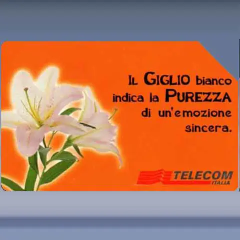 Messaggi Floreali - Giglio (2000)