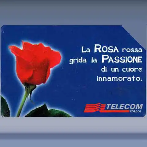 Messaggi Floreali - Rosa (2000)