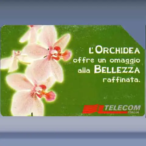 Messaggi Floreali - Orchidea (2000)