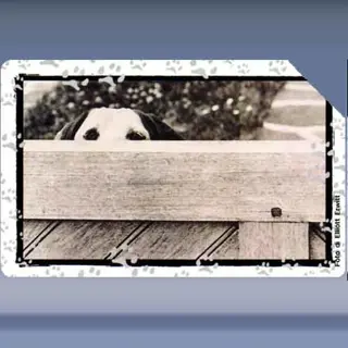 Al Mio Cane... (2000)