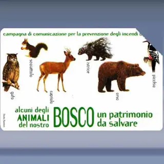 Bosco - Animal (2002)