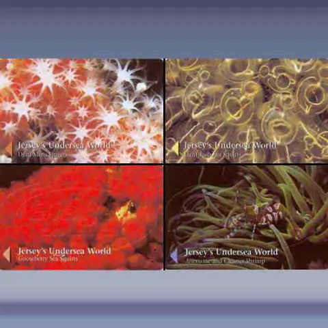 Jerseys Undersea World