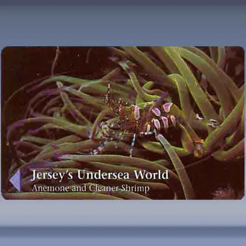 Jerseys Undersea World