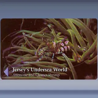 Jerseys Undersea World