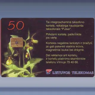 Orchid Cypripedium Calceolus (1999)