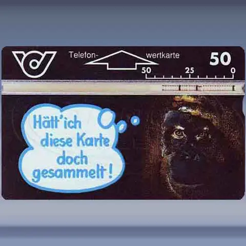 Gorilla, H&auml;tt ich diese... (1993)