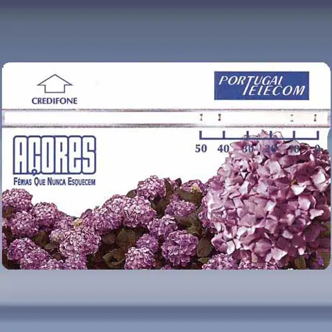 A&ccedil;ores (1995)