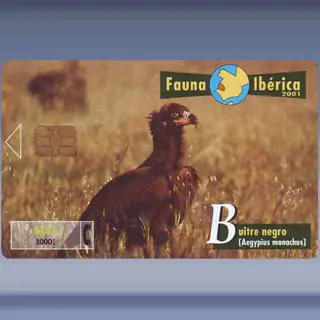 Buitre Negro (2001)