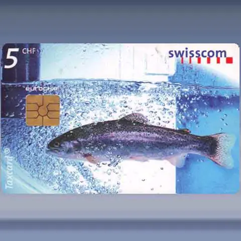 Testing drinking water.. (1999)