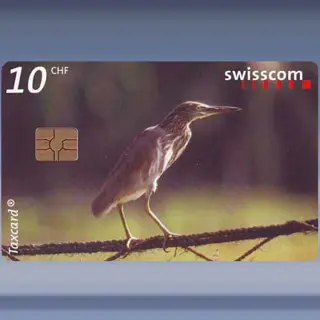 Mangrove heron (2001)