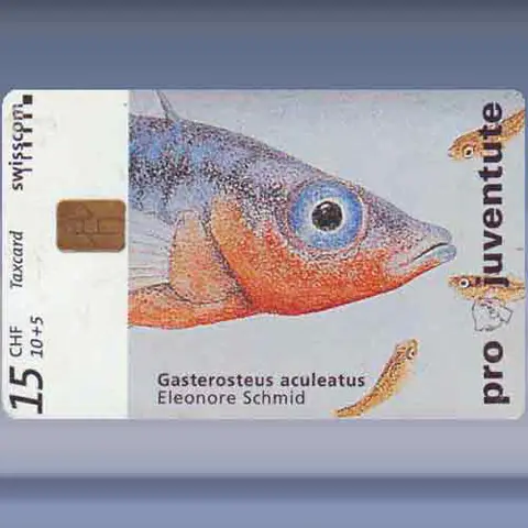 Gasterosteus aculeatus (1996)