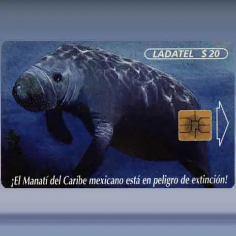 Manatí (1997)