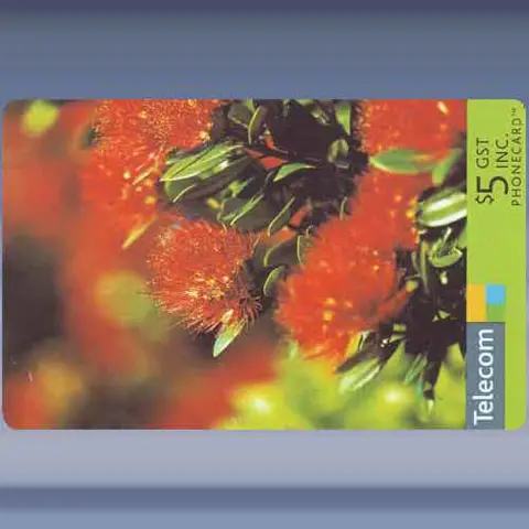 Pohutukawa (2004)