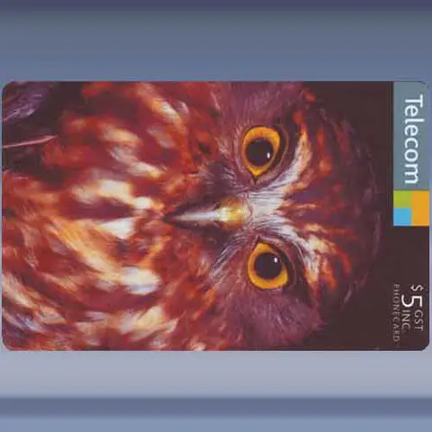 Morepork (2005)