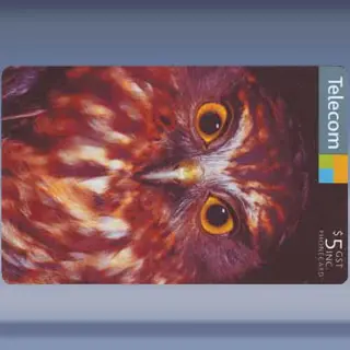 Morepork (2005)