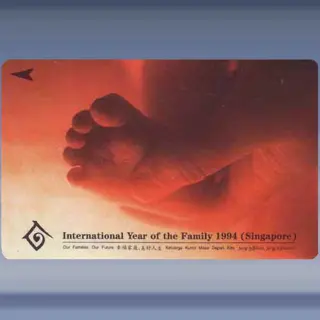 Jaar v/d Familie (1994)