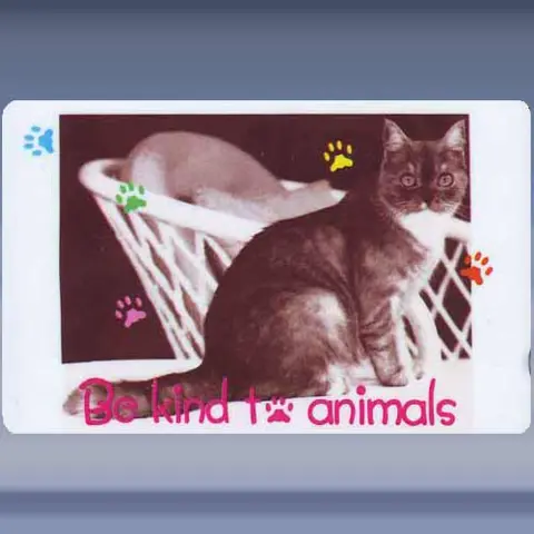 Be kind to Animals (1996)