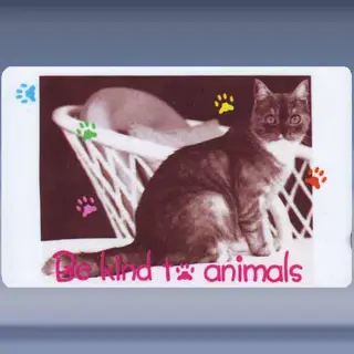Be kind to Animals (1996)