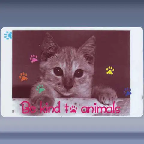 Be kind to Animals (1996)