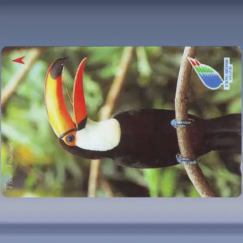 Jurong Birdpark Singapore (1996)