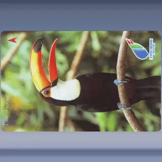 Jurong Birdpark Singapore (1996)