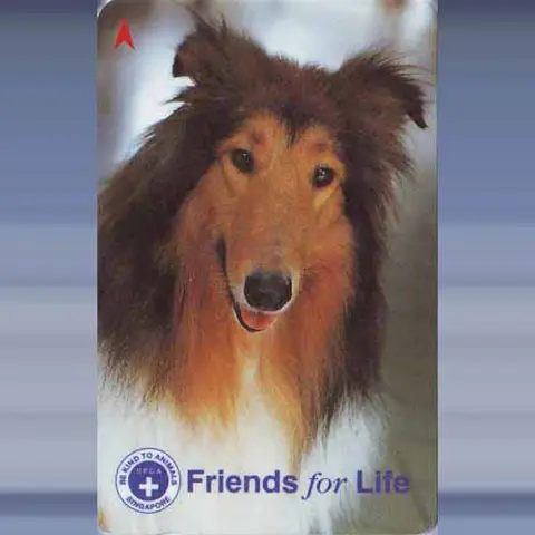 Friends for Life (1997)