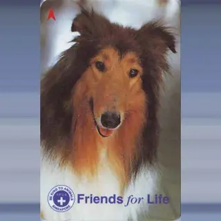 Friends for Life (1997)