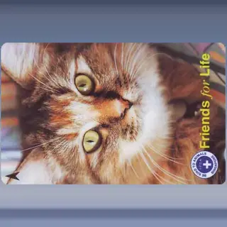 Friends for Life (1997)