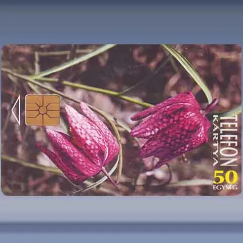 Beschermde bloemen (1995)