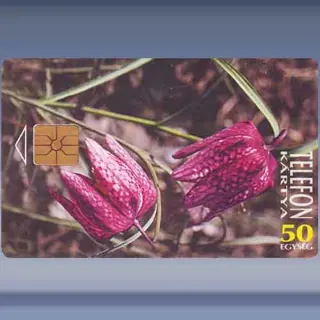 Beschermde bloemen (1995)