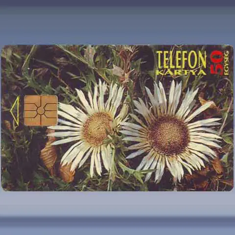 Beschermde Bloemen (1995)