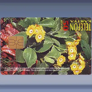 Beschermde Bloemen (1996)