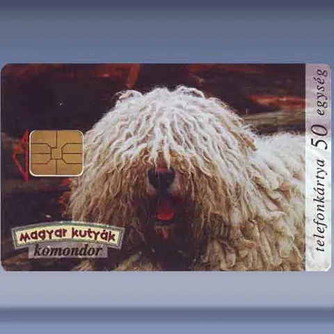 Komondor (1996)