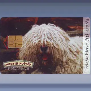 Komondor (1996)