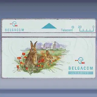 Wilde Konijntjes (1994)