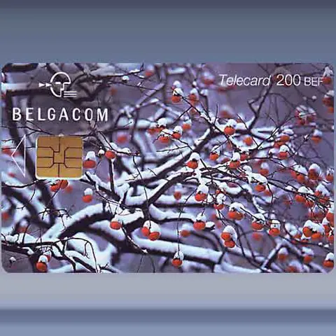 Winter - Tree (2001)