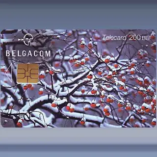 Winter - Tree (2001)