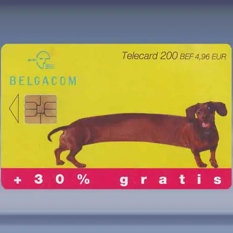Extra - Teckel (b) (2001)